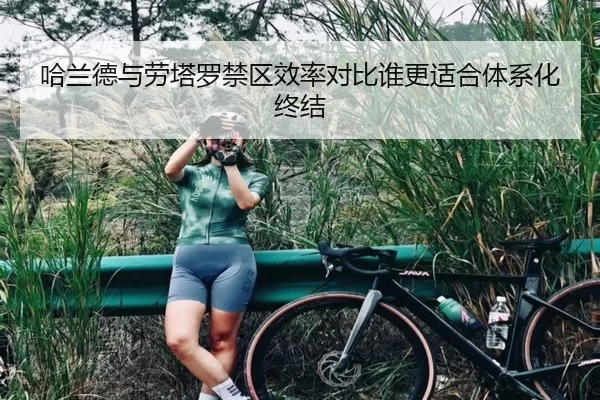 哈兰德与劳塔罗禁区效率对比谁更适合体系化终结