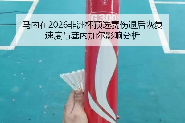 ma-nei-zai-fei-zhou-bei-yu-xuan-sai-shang-tui-hou-hui-fu-su-du-yu-sai-nei-jia-er-ying-xiang-fen-xi-2-957.jpg