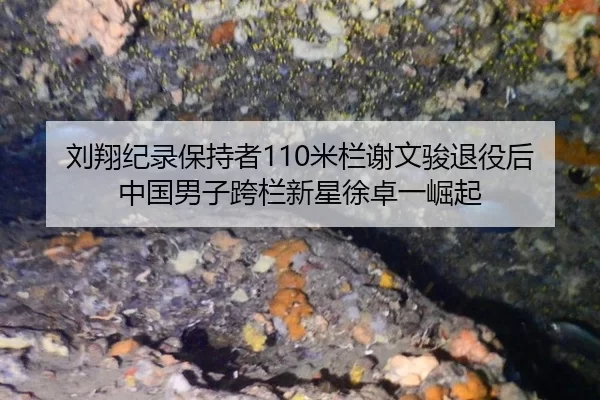 刘翔纪录保持者110米栏谢文骏退役后中国男子跨栏新星徐卓一崛起
